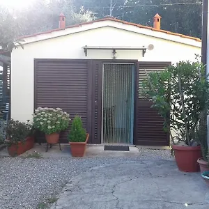 Da Lilly Appartamento Lucca